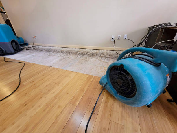 Professional Ceiling Water Damage Repair technician working in New Century, KS