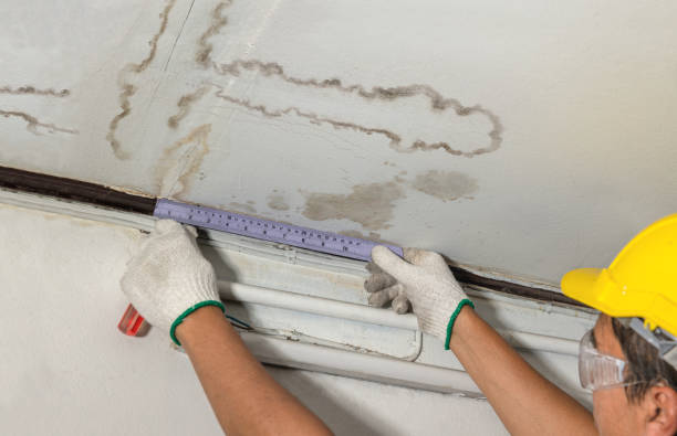Affordable Ceiling Water Damage Repair solutions in New Century, KS